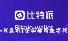 TP和IM钱包如何盈利？全面
